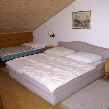 Dağ evi Klausnerhof *